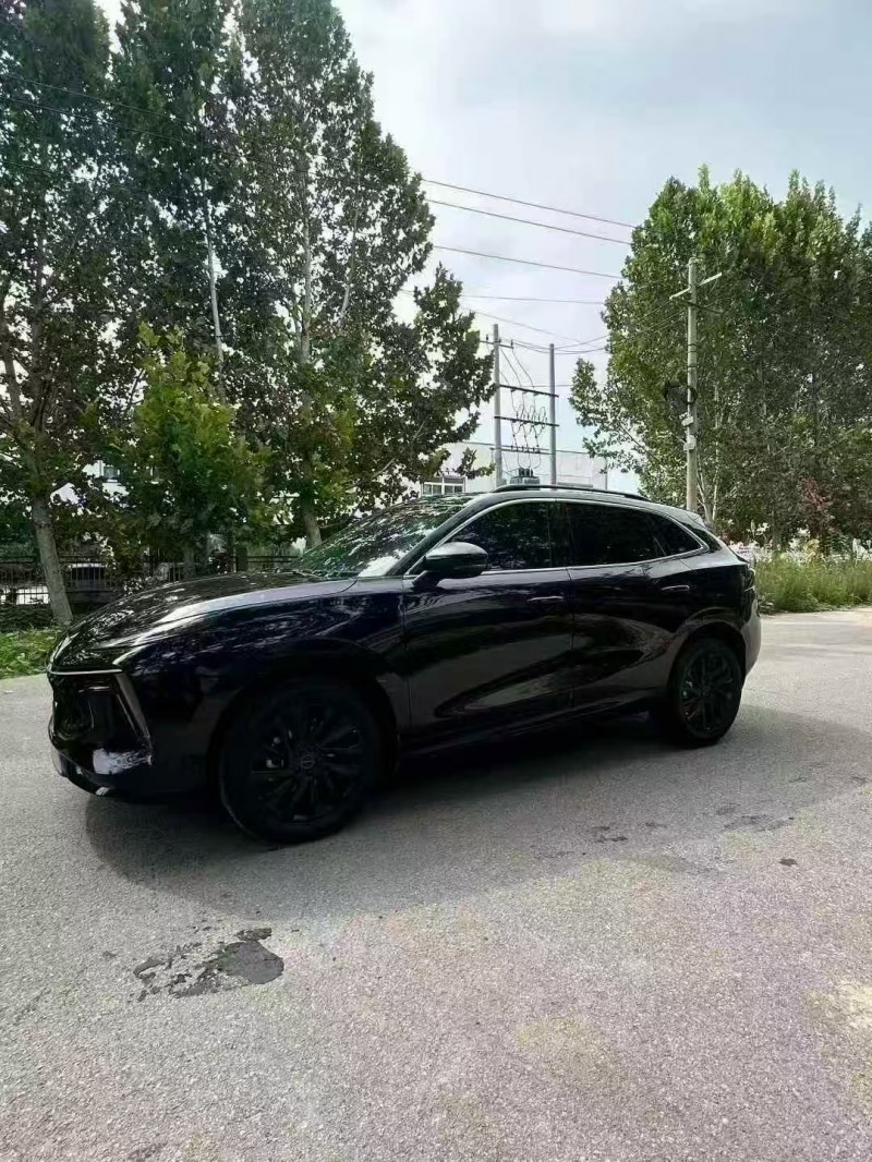 菏泽22年东风风行3