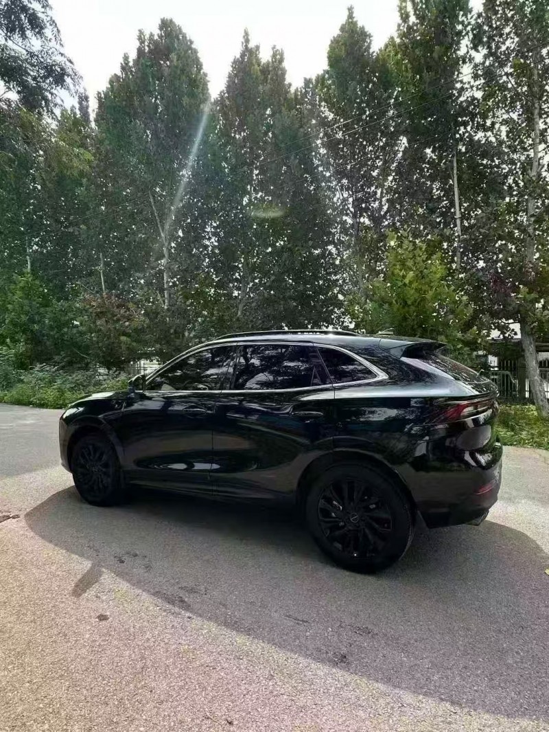 菏泽22年东风风行8