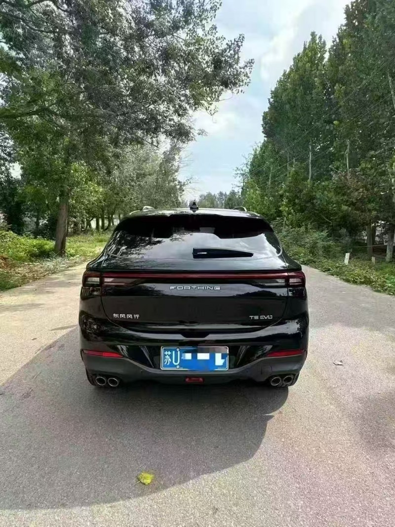 菏泽22年东风风行9