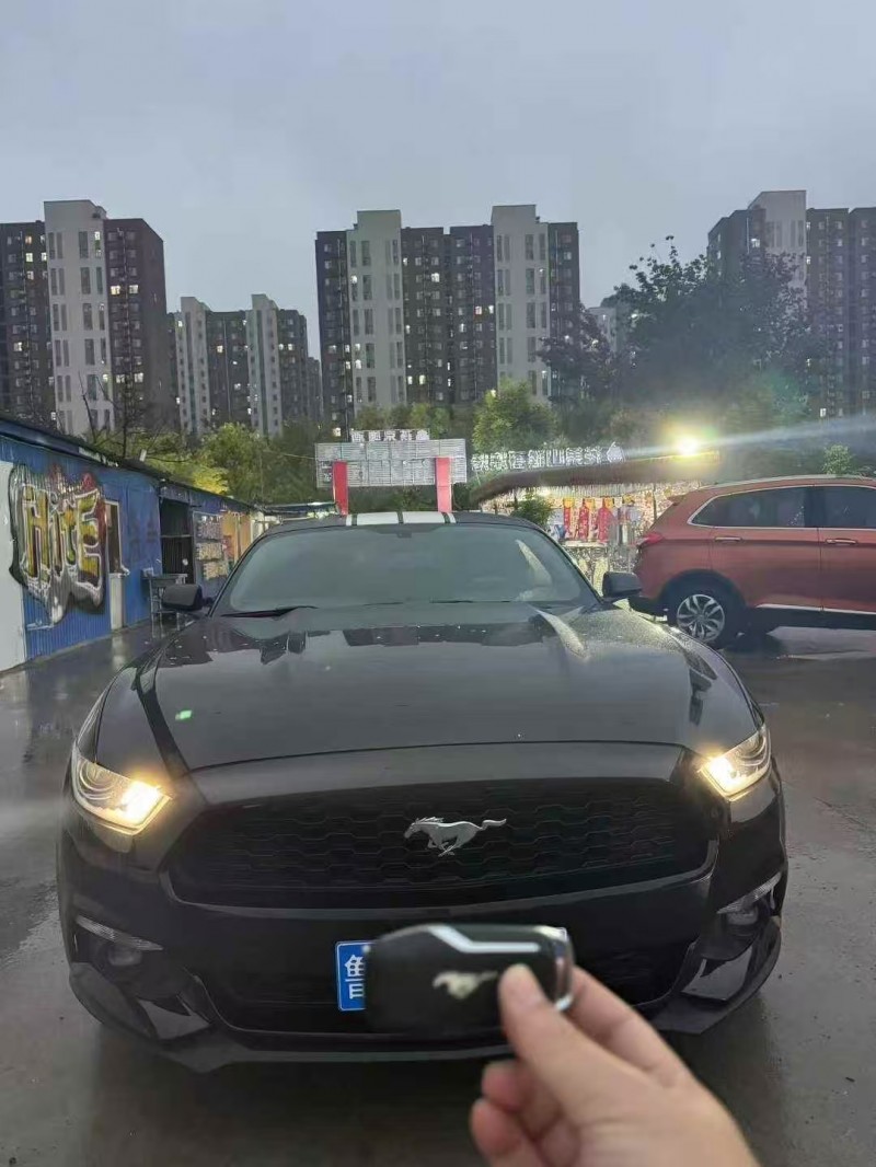 济宁17年福特野马1