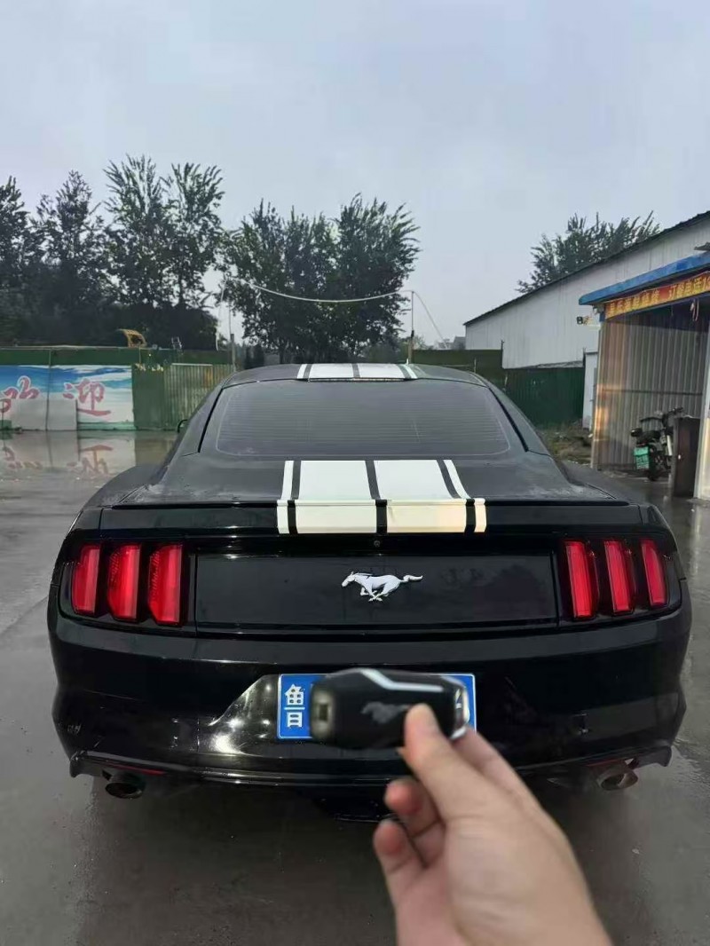 济宁17年福特野马9