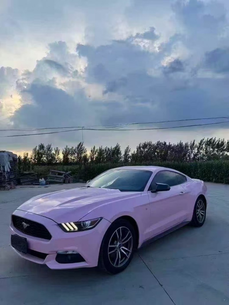 菏泽17年福特野马2