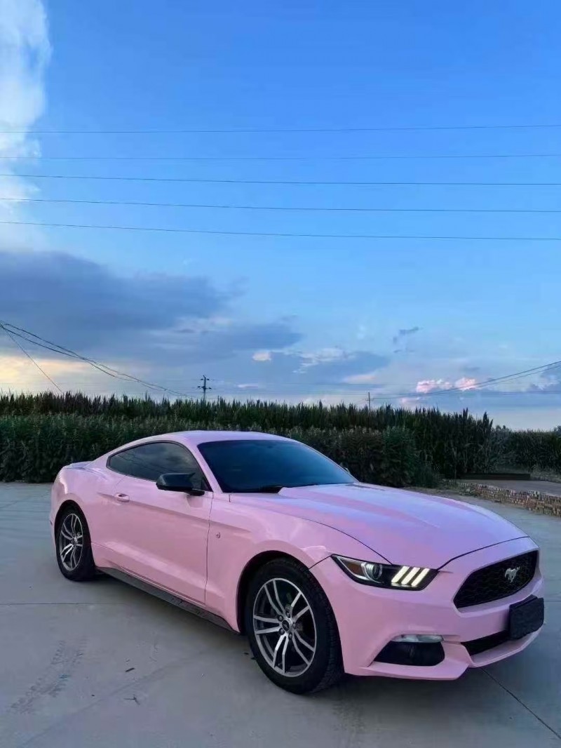 菏泽17年福特野马3