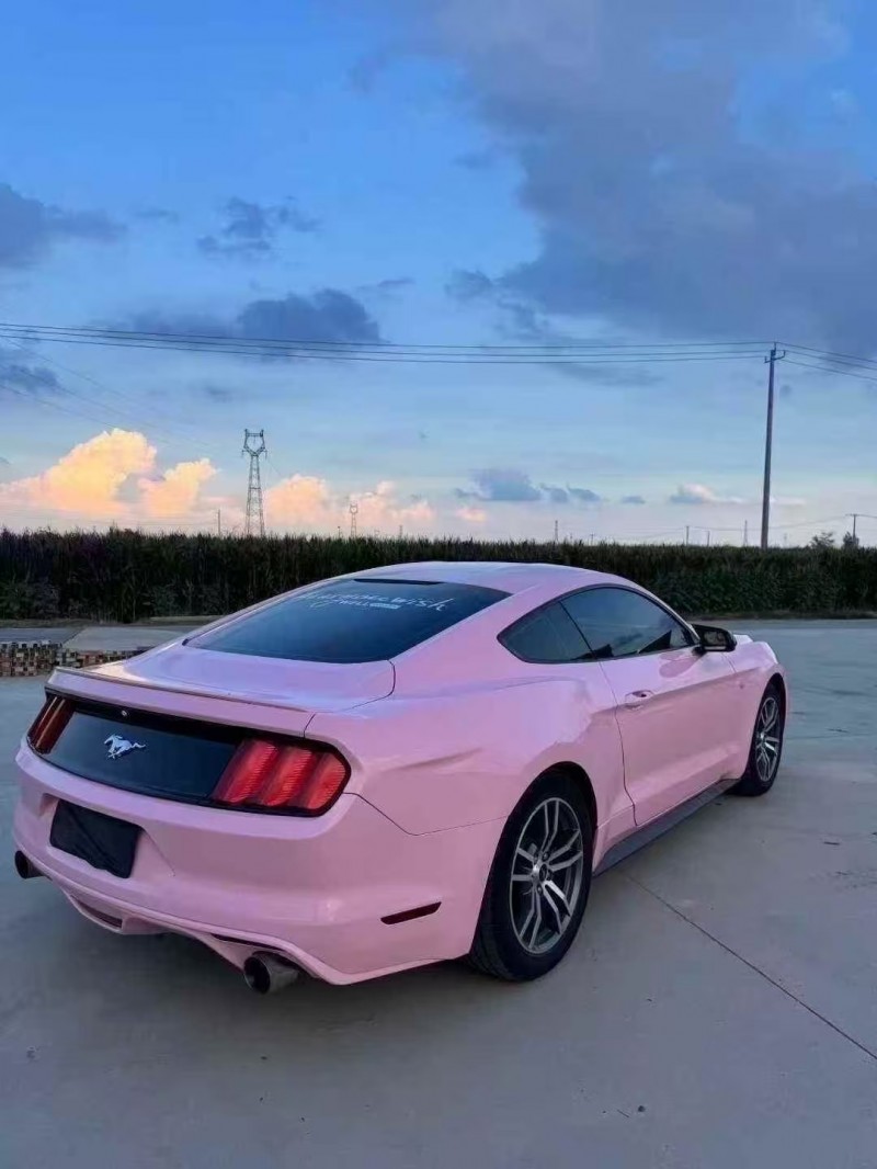 菏泽17年福特野马7