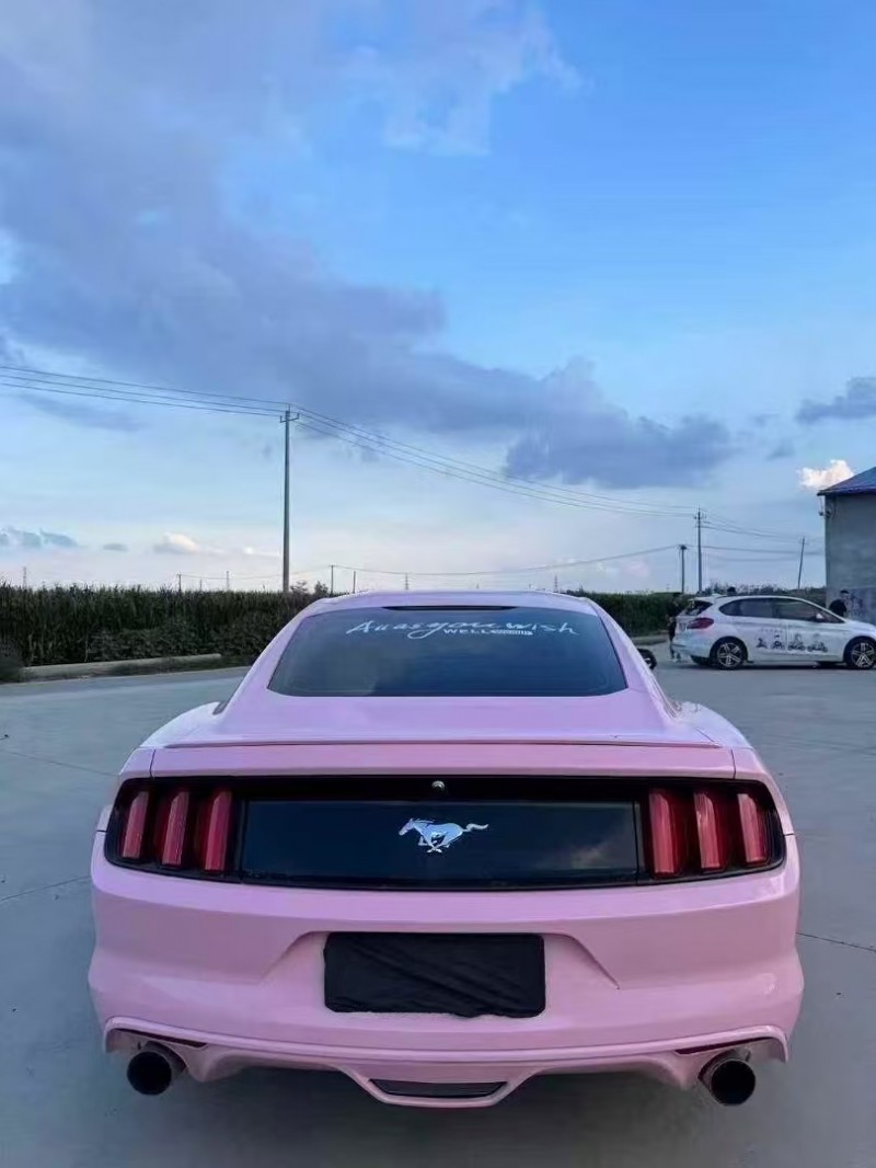 菏泽17年福特野马9