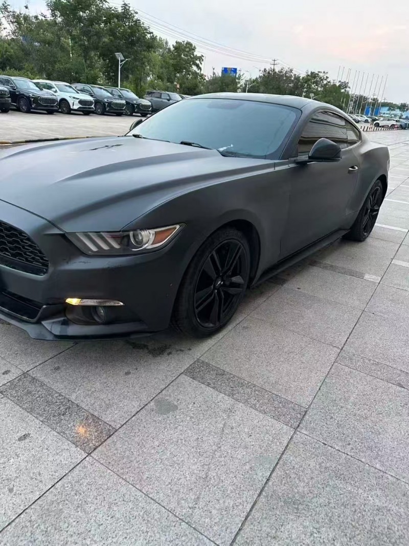 菏泽17年福特野马3