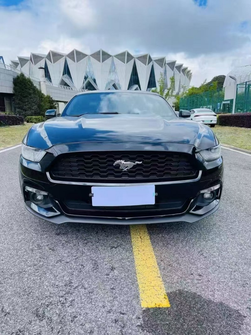 安顺19年福特野马1