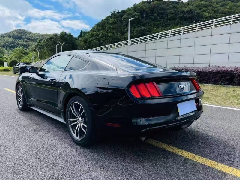 安顺19年福特野马3