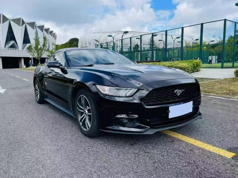 安顺19年福特野马4