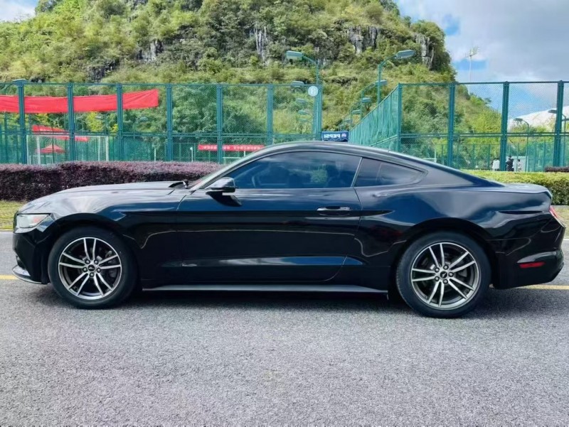 安顺19年福特野马6