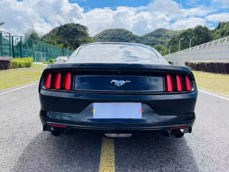 安顺19年福特野马8