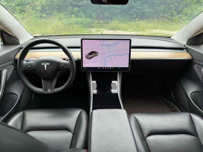 邵阳20年特斯拉MODEL 35