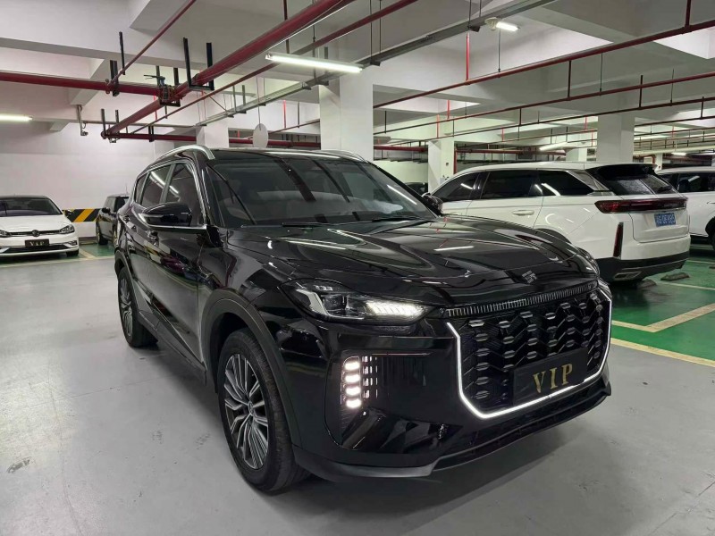 成都25年奇瑞捷途2