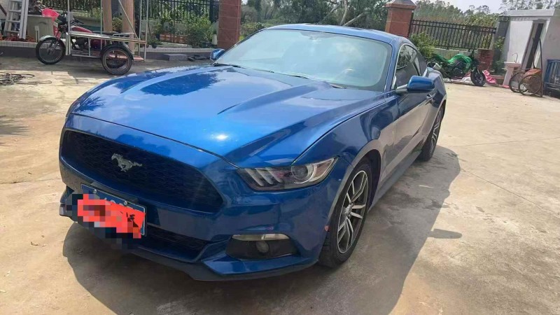 广州17年福特野马1