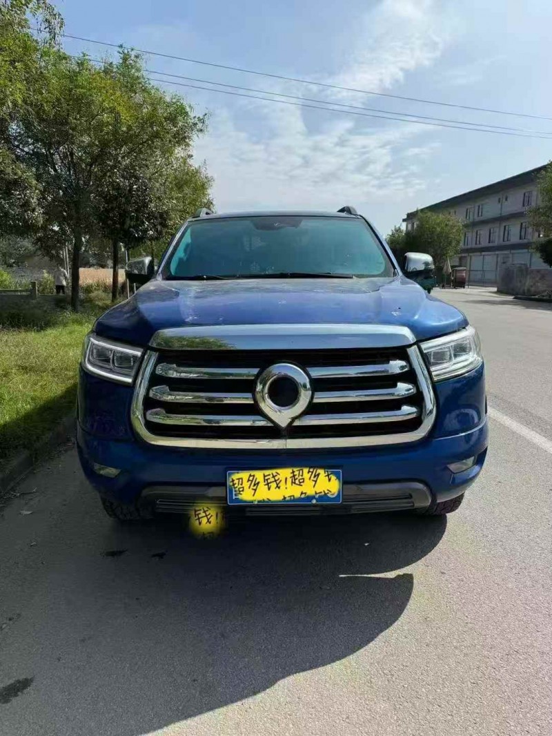 菏泽21年长城汽车炮 皮卡1