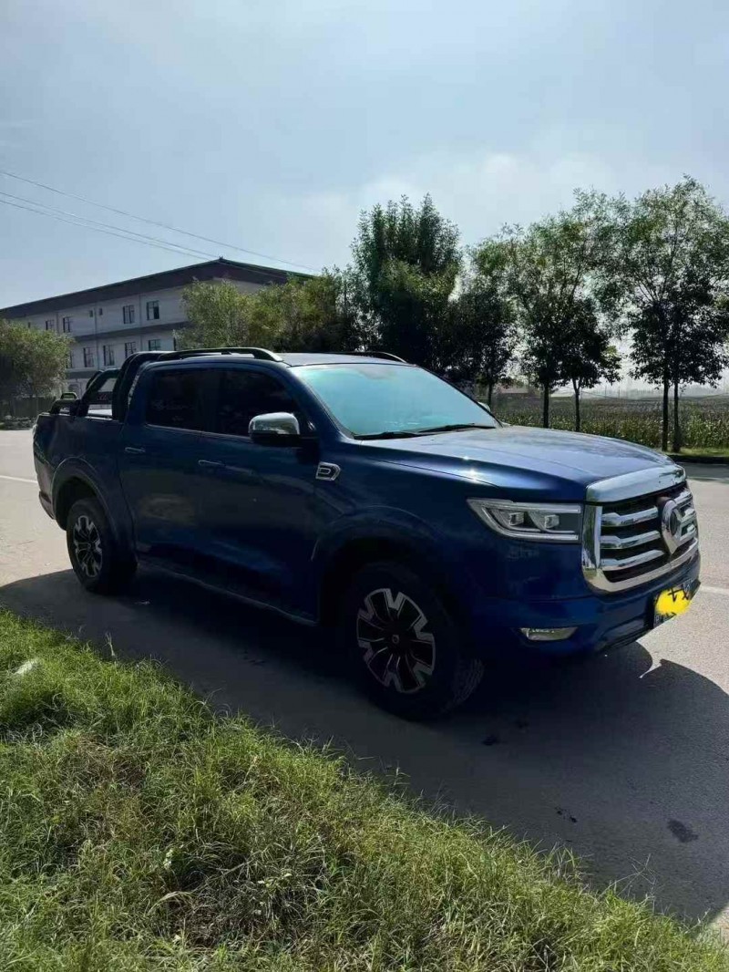 菏泽21年长城汽车炮 皮卡2