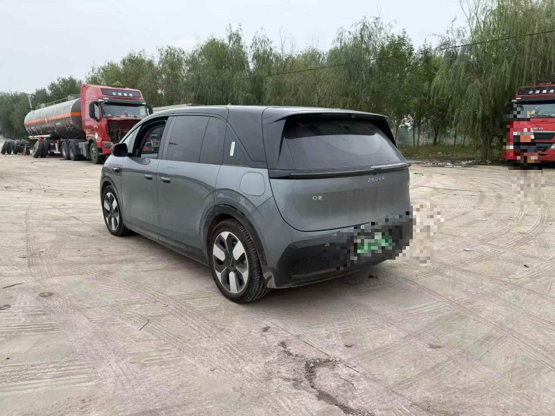 菏泽24年极氪汽车X8