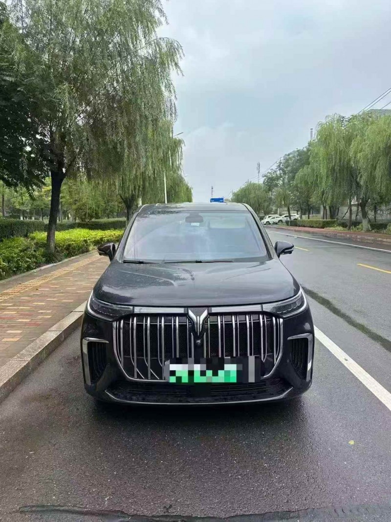 枣庄24年岚图汽车梦想家1