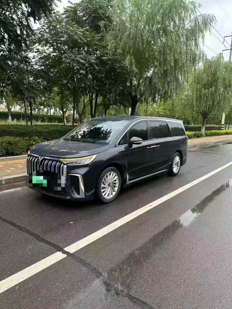 枣庄24年岚图汽车梦想家2