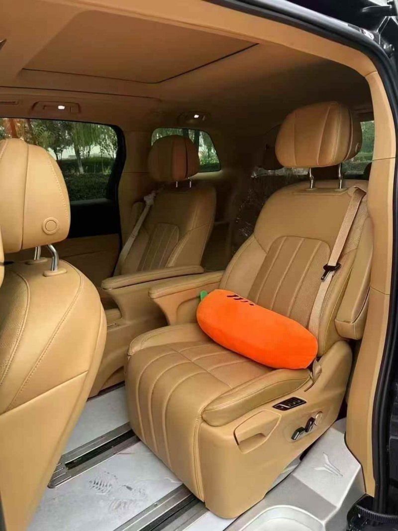 枣庄24年岚图汽车梦想家4