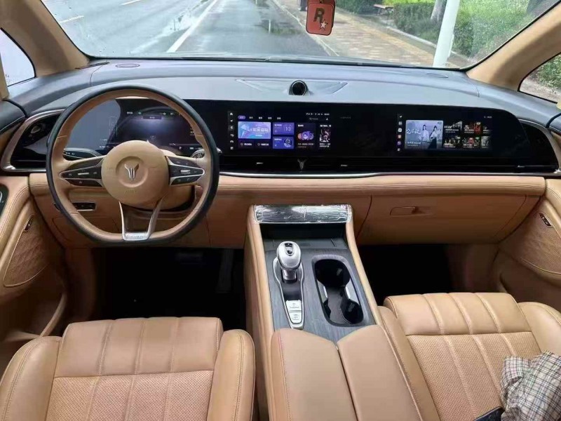 枣庄24年岚图汽车梦想家5