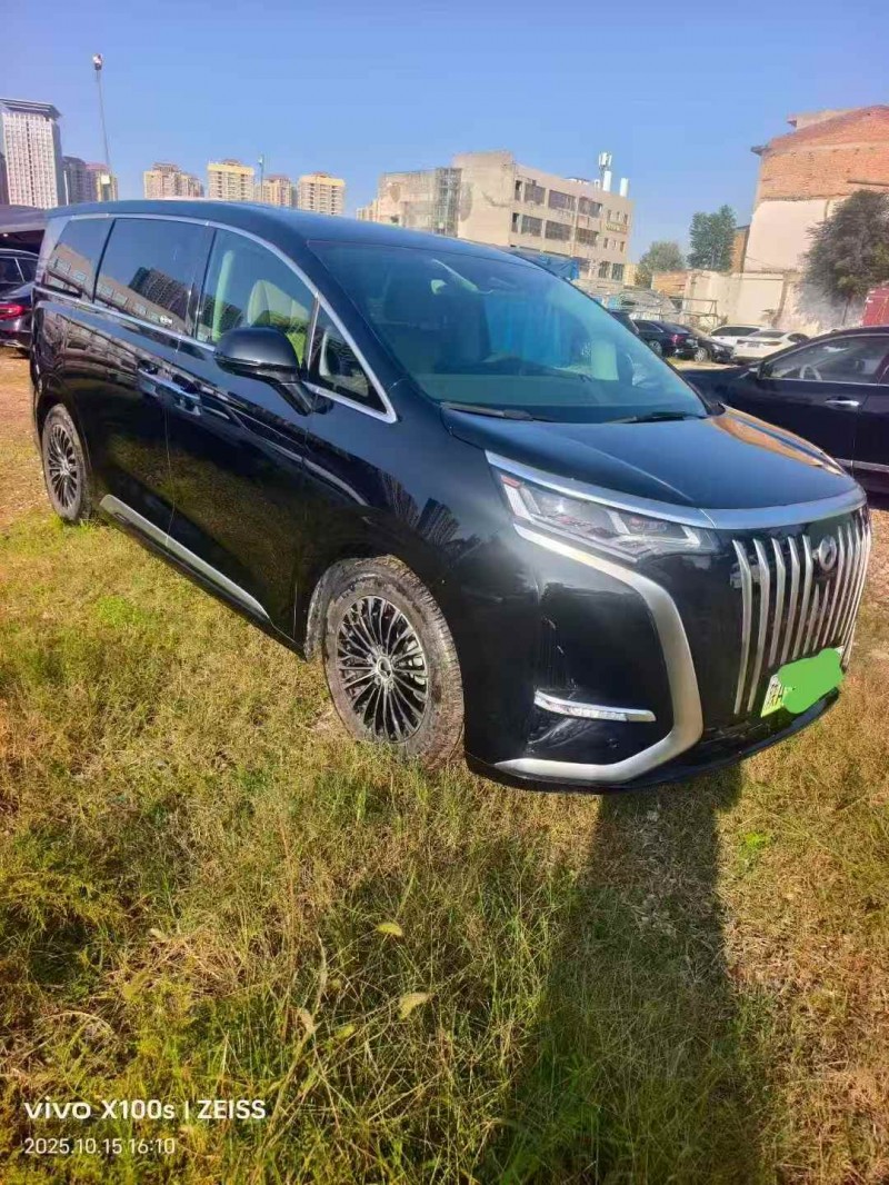 汉中24年腾势D93