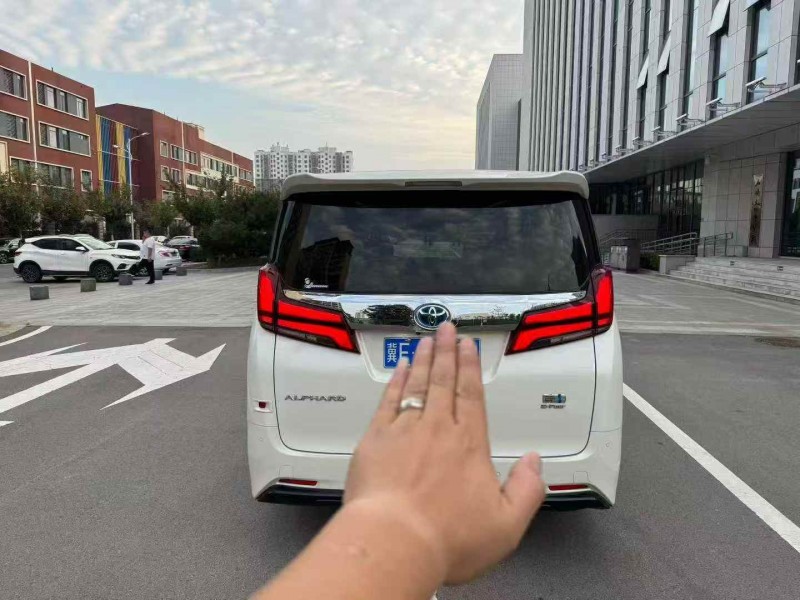 枣庄19年丰田埃尔法9