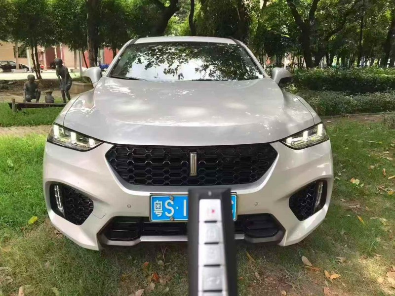 东莞17年长城汽车魏牌1