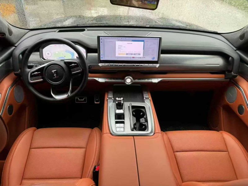 新乡24年长城汽车坦克4