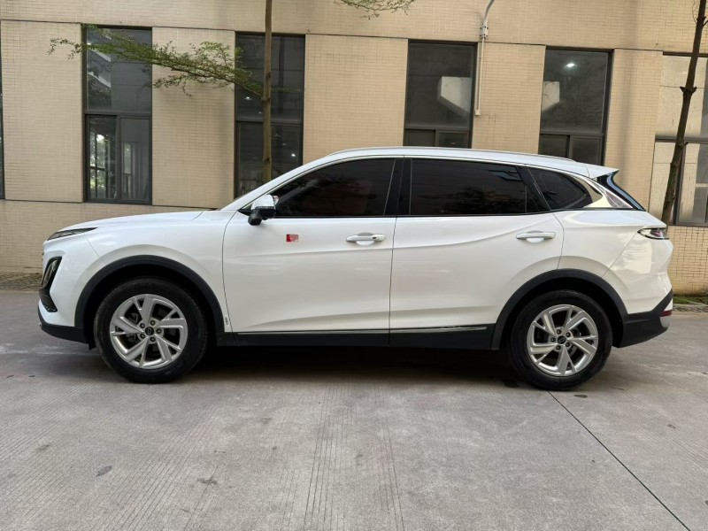 佛山23年奔腾T904