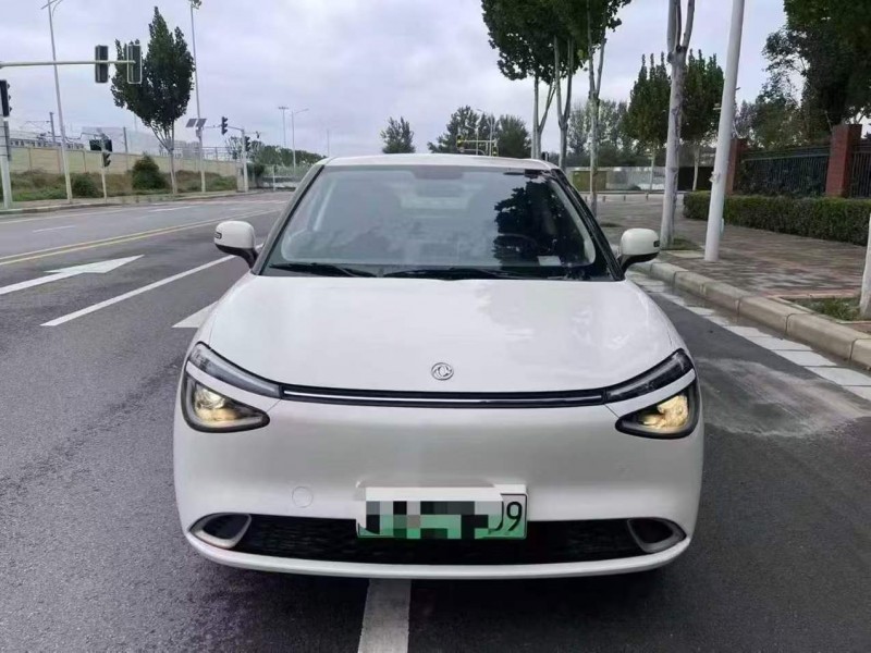 郑州24年东风纳米1