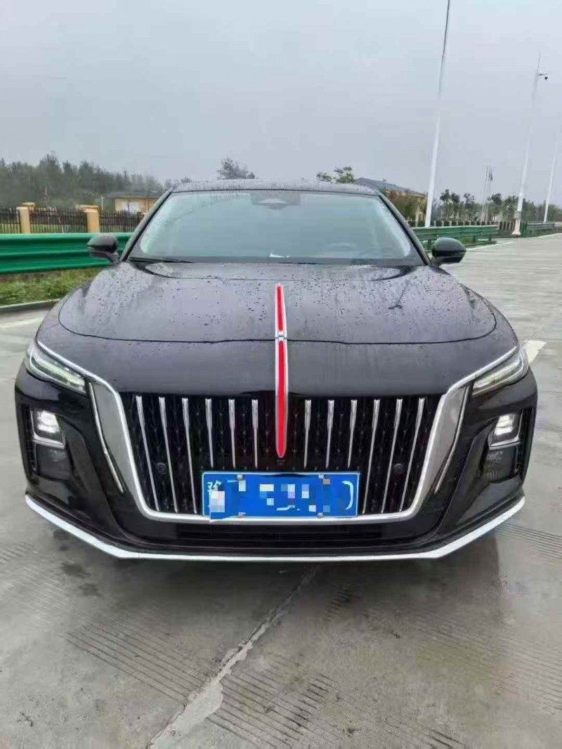 枣庄24年红旗H51