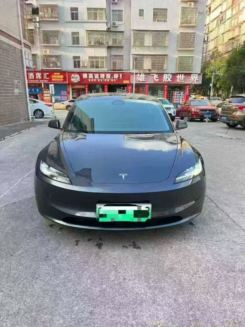 株洲24年特斯拉MODEL 31