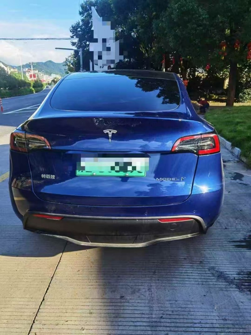 温州24年特斯拉MODEL Y9