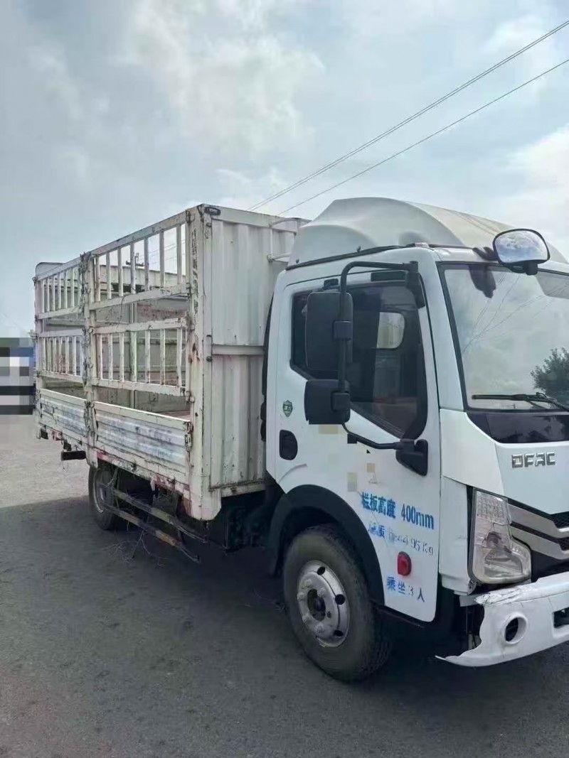 淄博22年东风多利卡2