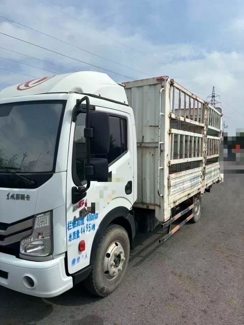 淄博22年东风多利卡3