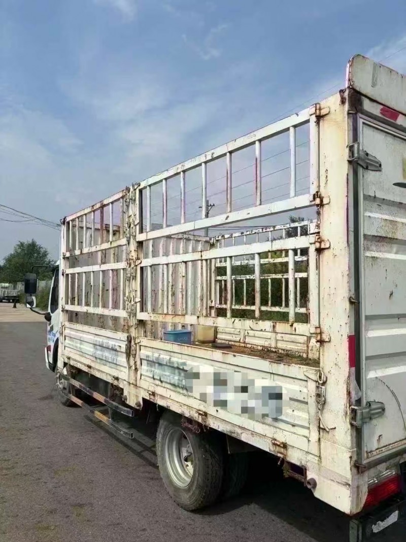 淄博22年东风多利卡8