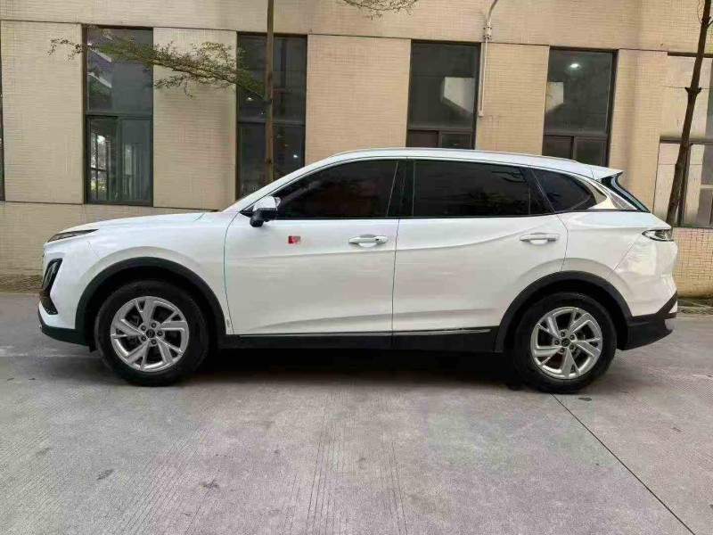 汕头23年奔腾T909