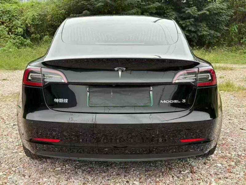 邵阳20年特斯拉MODEL 38