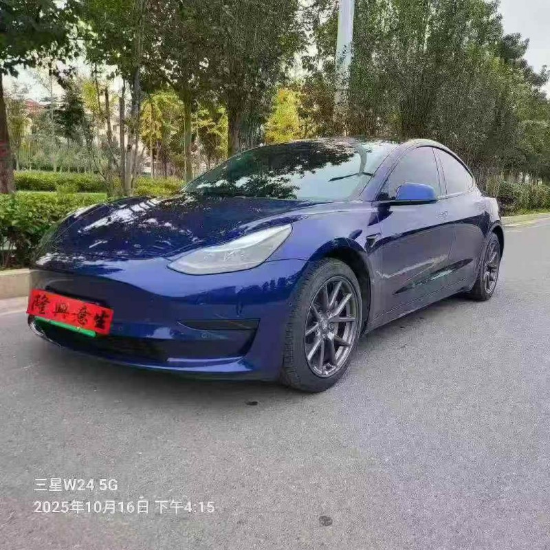 安阳23年特斯拉MODEL 33