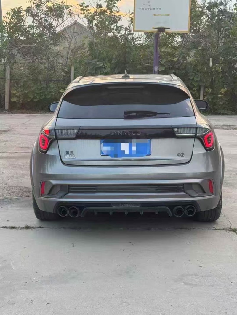 淄博21年领克019