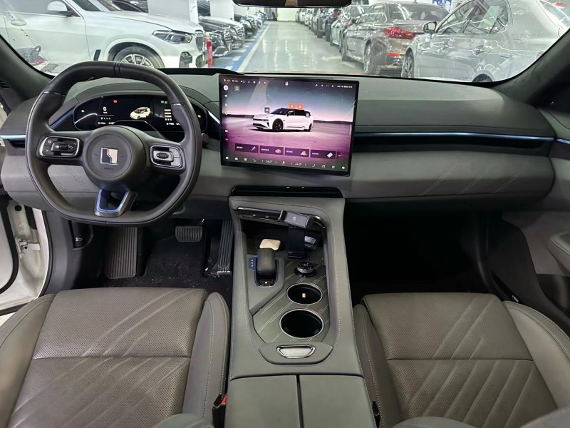 深圳24年极氪汽车0013