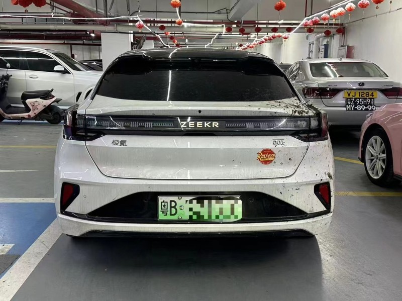 深圳24年极氪汽车0015