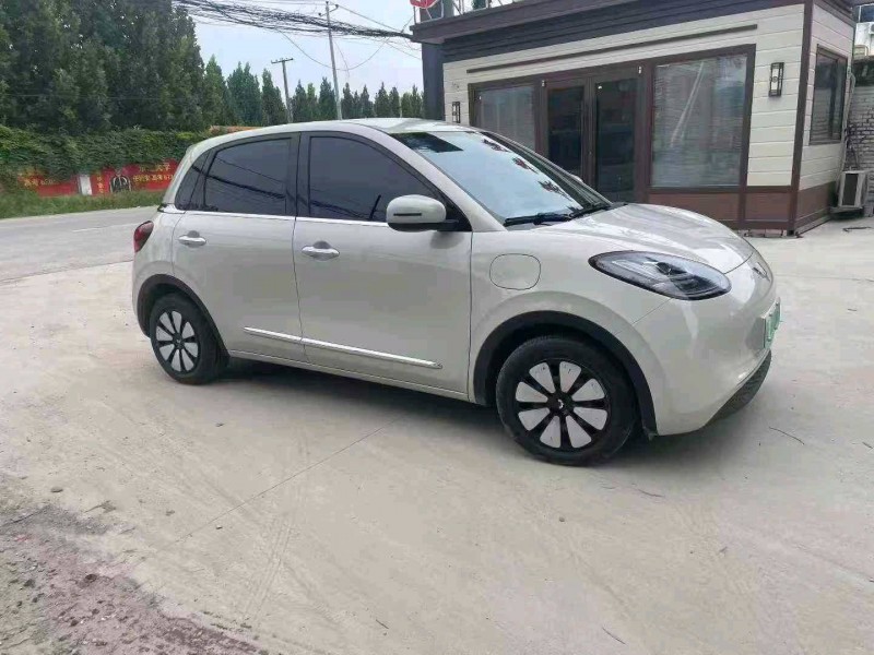 保定23年五菱汽车缤果2