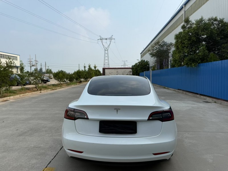 焦作21年特斯拉MODEL 37