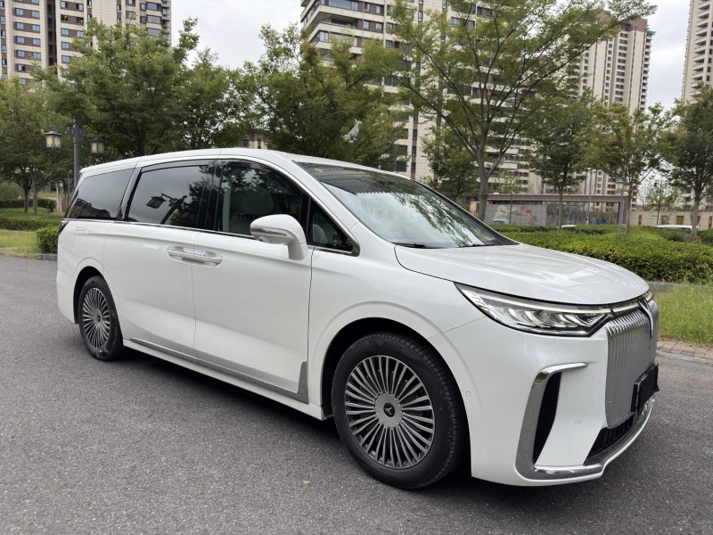 盐城25年岚图汽车梦想家2