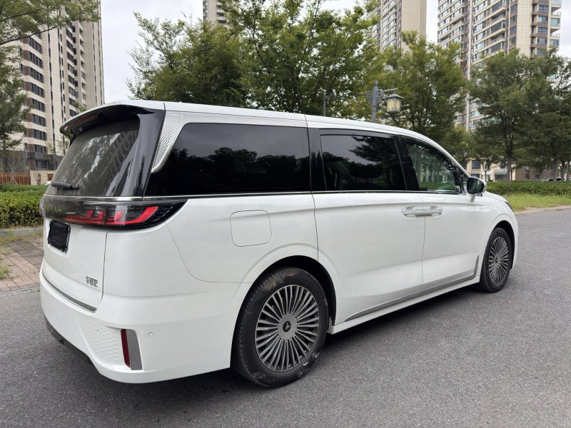 盐城25年岚图汽车梦想家5