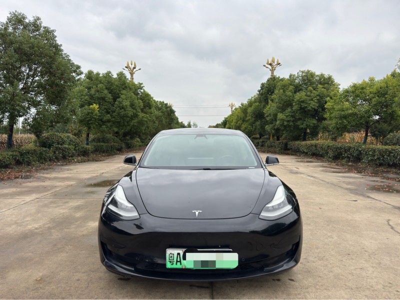 盐城20年特斯拉MODEL 31