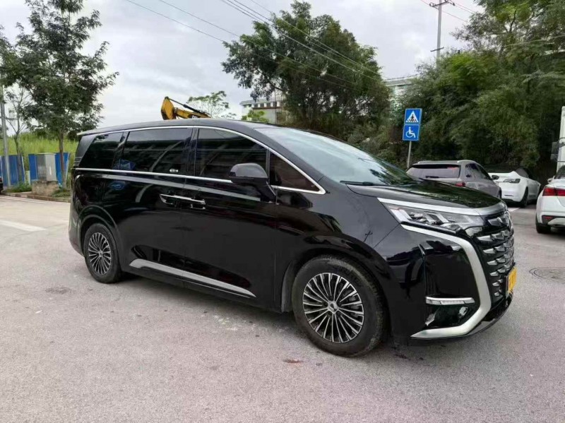 梧州24年腾势D93