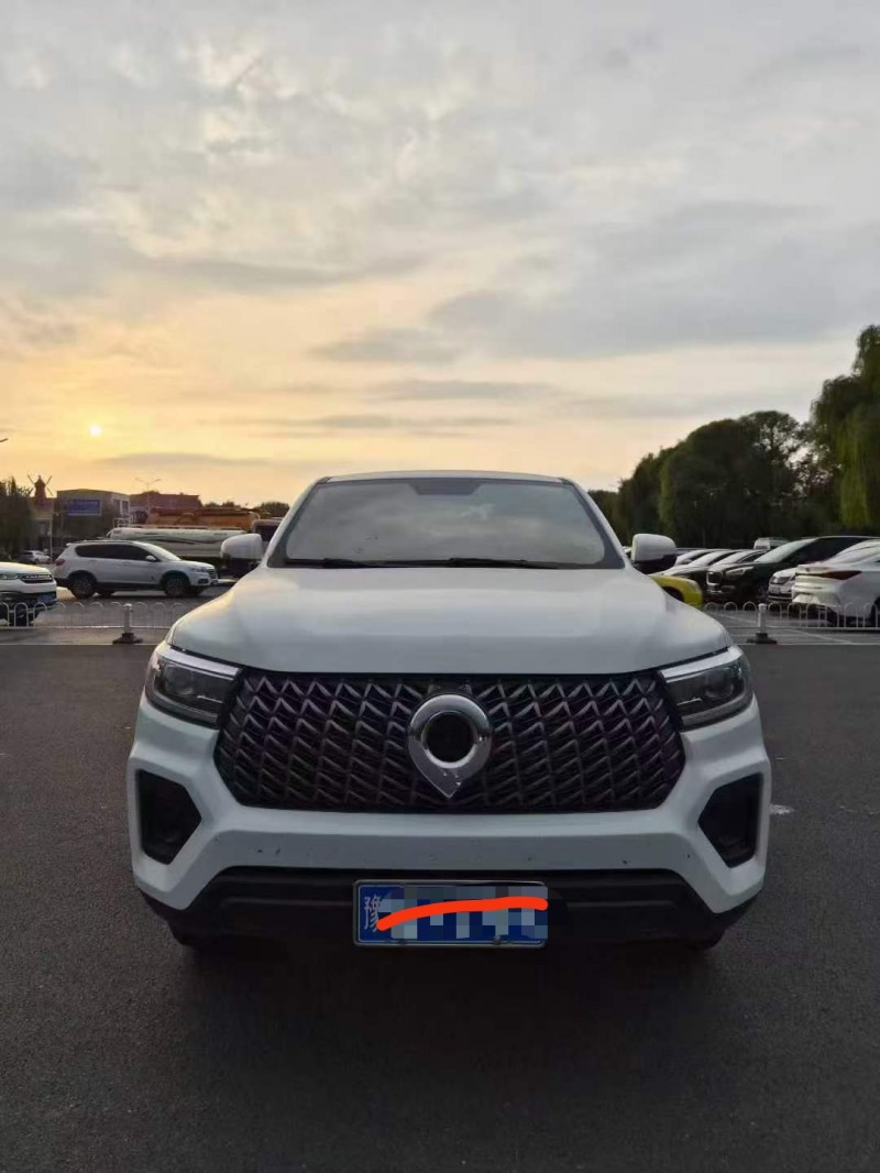 郑州24年长城汽车炮 皮卡2